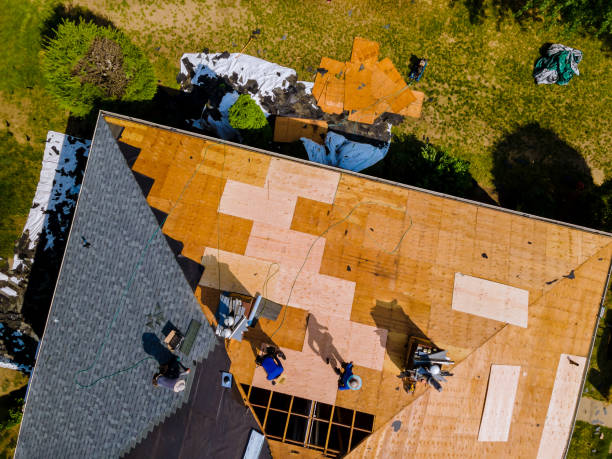 Best Roof Waterproofing Services  in Meadow Vale, KY