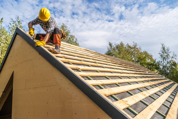 Best Roof Gutter Cleaning  in Meadow Vale, KY